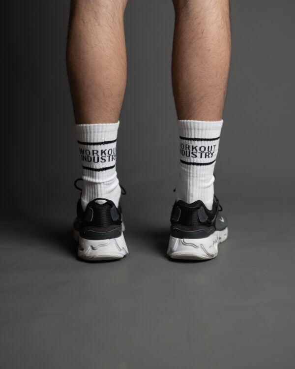 WI Socks - Image 2
